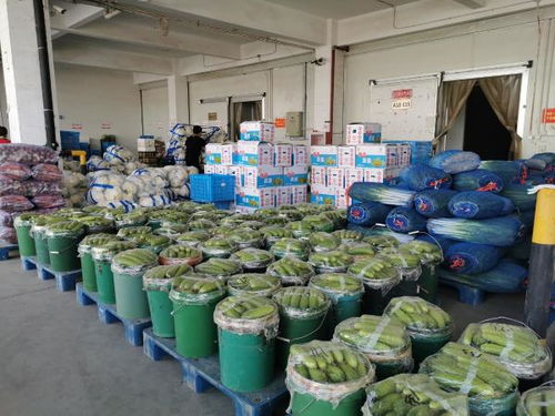 5000吨蔬菜将陆续抵京,25种蔬菜价格出现回落态势
