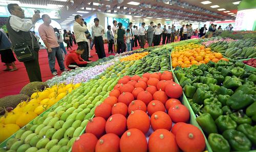 2010年中国(海南)国际热带农产品冬季交易会开幕
